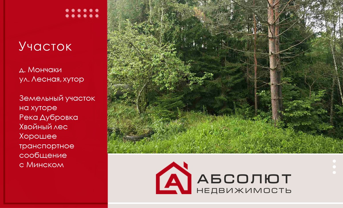 Продается земельный участок на хуторе в лесу у реки Дубровка в д.Мончаки, ул. Лесная