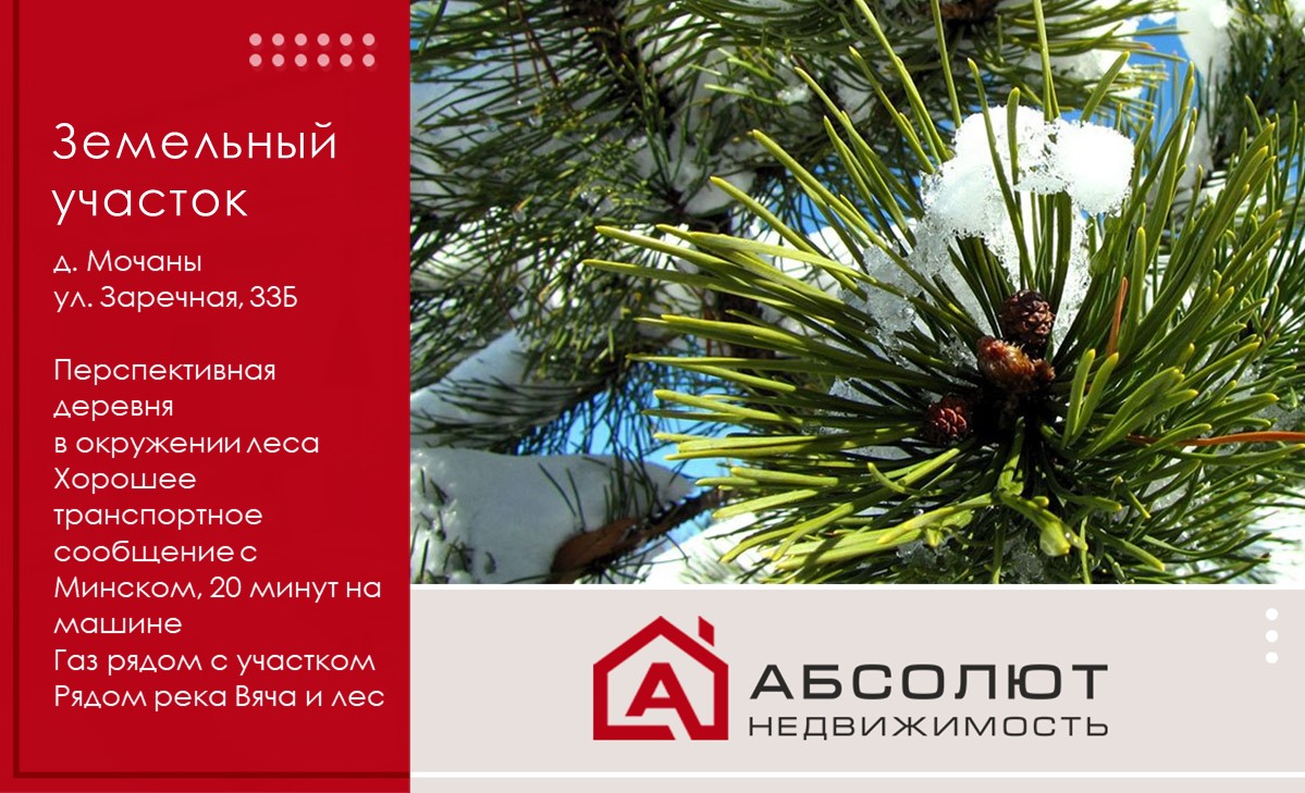 Продажа земельного участка д. Мочаны, ул.Заречная, 33Б